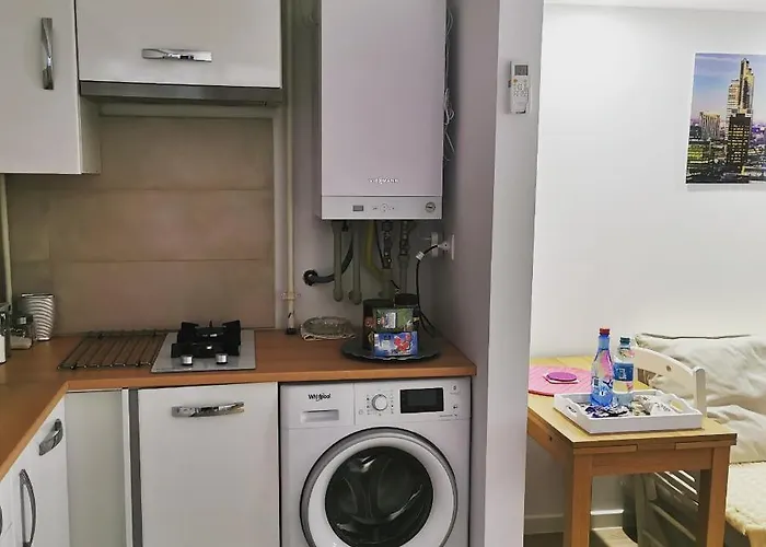 Grozavesti Modern Flat With 2 Fully Equipped Daire